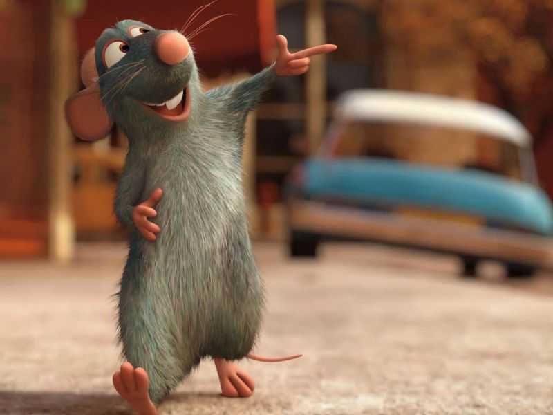 Видеоролик о захвативших Брянск крысах признали самым смешным
