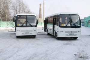 Брянск обзавелся новыми социальными автобусами