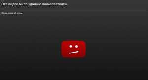 Глава брянского отделения ФАР Константин Баранов удалил видео драки