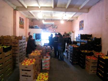 Запретные польские плоды нашли на овощной базе в Брянске