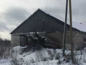 Брянскую молочную ферму завалили навозом