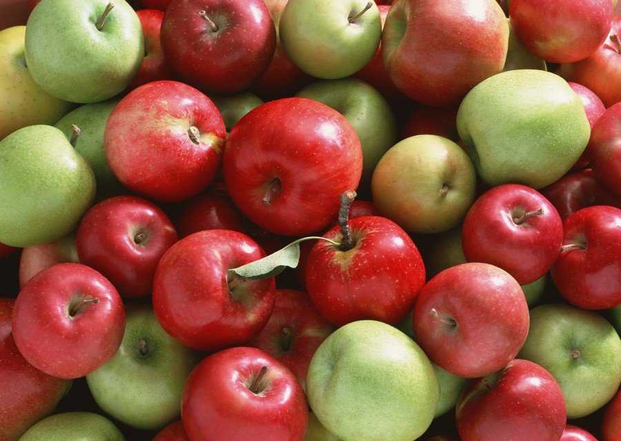 Брянские спецслужбы ополчились на белорусские яблоки