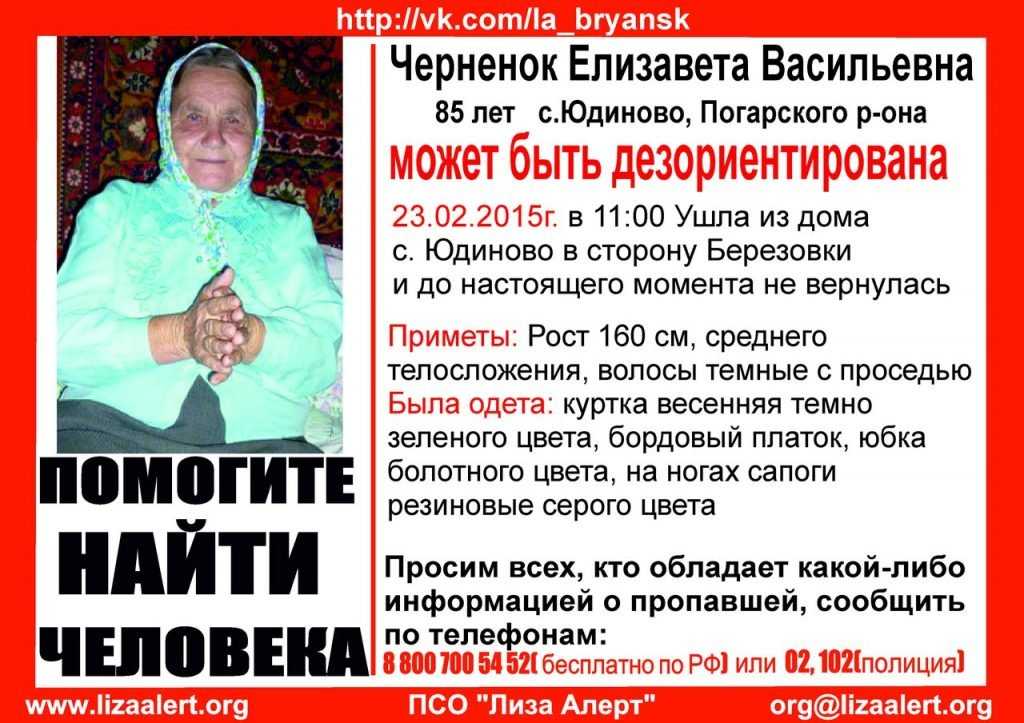 В Брянской области начали розыск пропавшей старушки