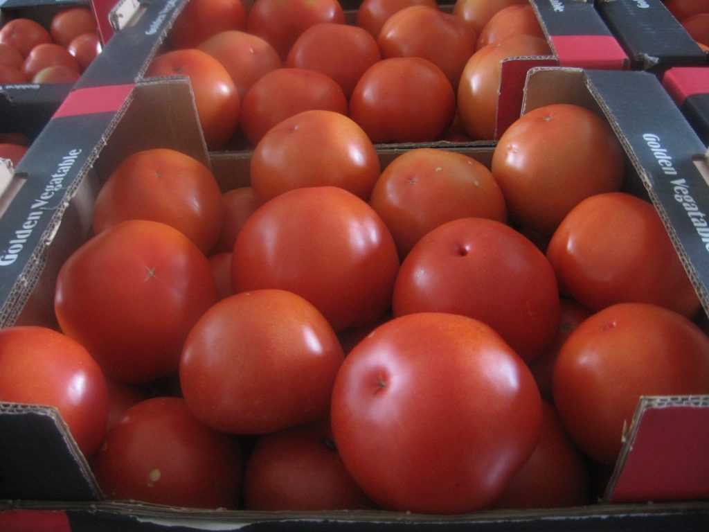 На рынке брянского райцентра нашли запрещенные помидоры