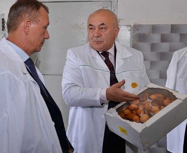 Прокуратура изучит причины остановки брянского хлебокомбината «Каравай»