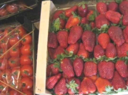 Чекисты нашли запрещённые помидоры на брянском рынке