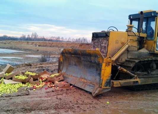 Брянскими тракторами раздавили 25 тонн польских яблок