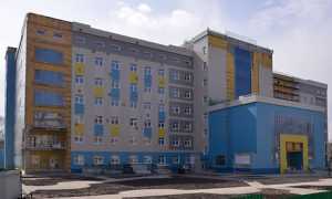 В Брянске откроют перинатальный центр за 2,2 миллиарда