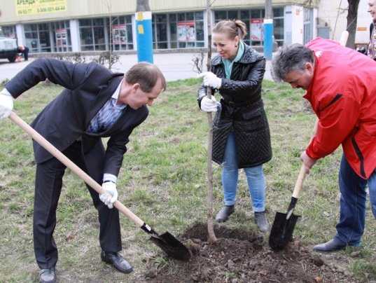 Градоначальник Брянска посадил деревья на новых аллеях