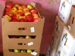 Брянские рынки очистили от санкционных фруктов