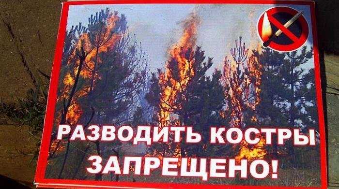 В четырёх районах Брянщины ввели особый противопожарный режим