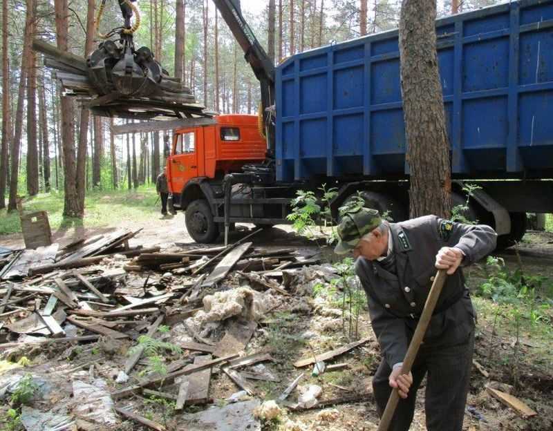 Брянский лес очистили от мусора