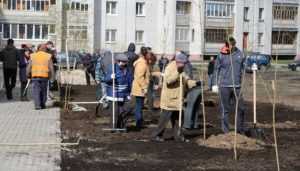 Власти попросили у горожан денег на сквер в Фокинском районе Брянска