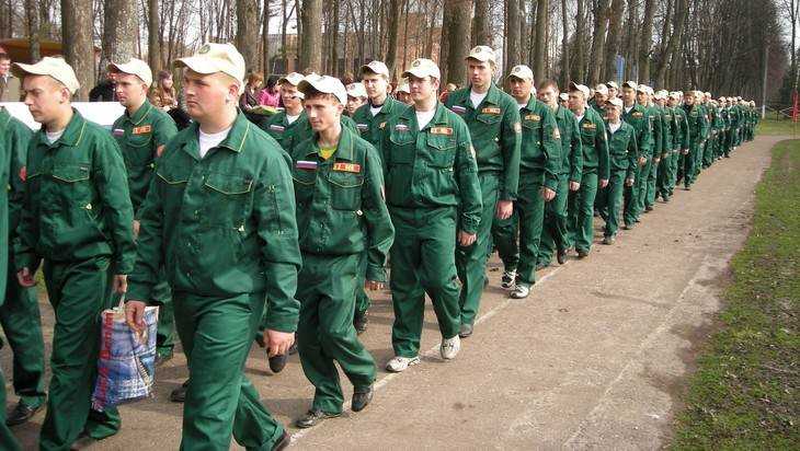 Брянские бойцы ЛДПР нашли способ трудоустроить выпускников вузов