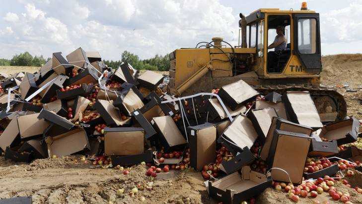 На брянском полигоне уничтожили 21 тонну яблок
