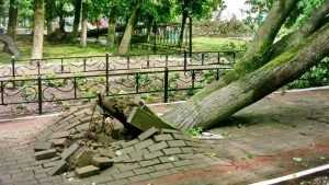 В брянском городе Сельцо ураган вызвал катастрофические разрушения