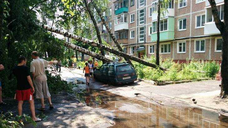 В Сельцо заваленные ураганом деревья повредили машины, крыши, балконы