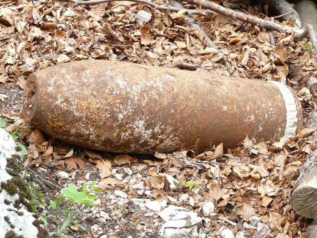 Возле брянского посёлка Новые Дарковичи обнаружили бомбу