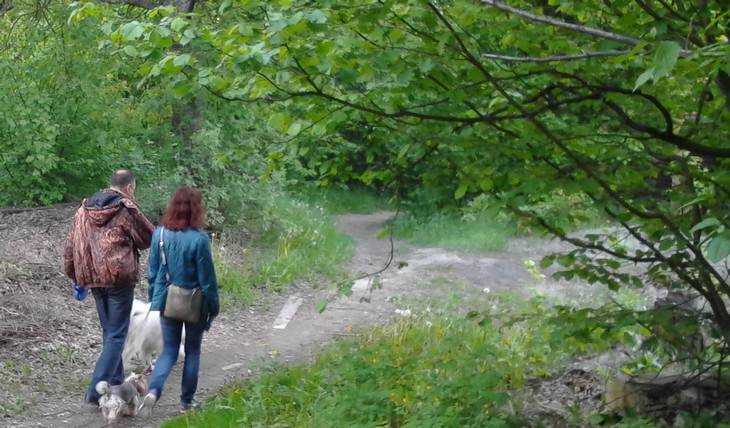 Отыскались пропавшие накануне в лесу брянские подростки