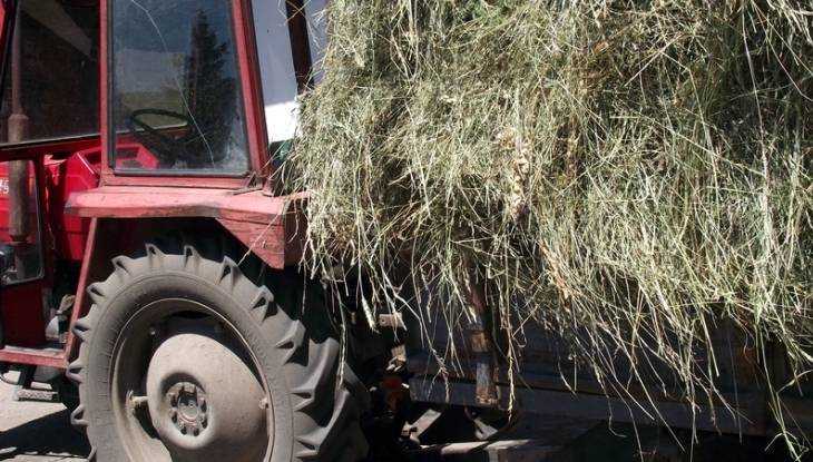 В брянской деревне сгорел тракторный прицеп с сеном