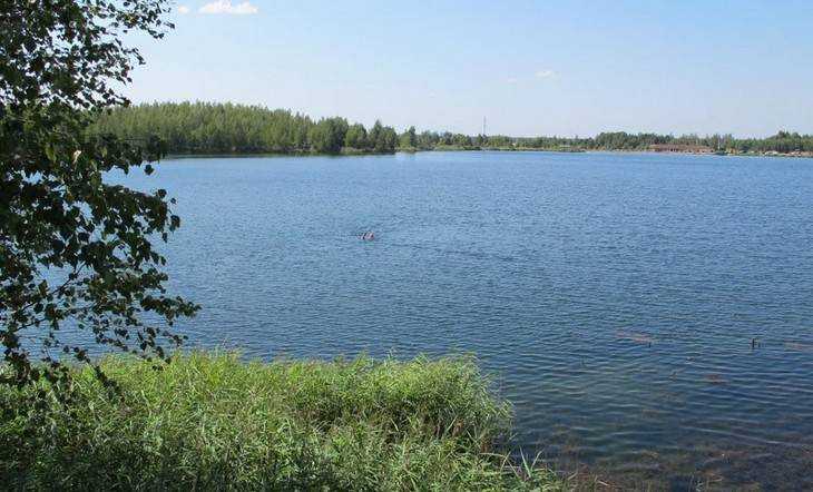 Брянцы сообщили о загрязнении «керамзитового» озера