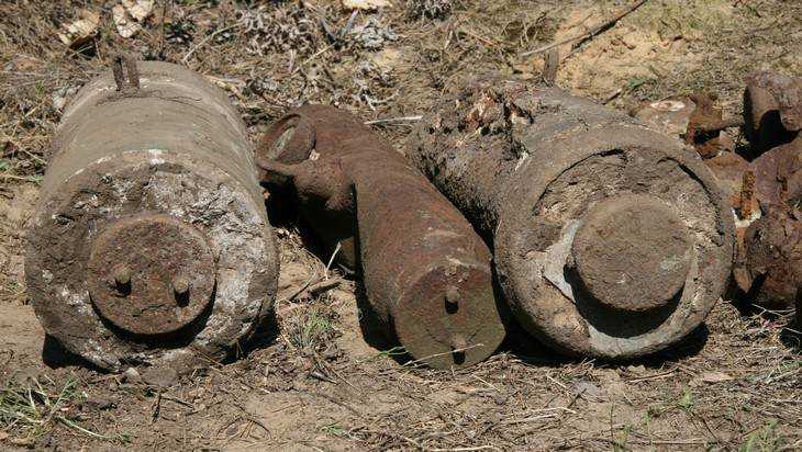 В брянском лесу нашли схрон артиллерийских снарядов
