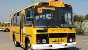 Брянских школьников будут возить на 26 новых автобусах