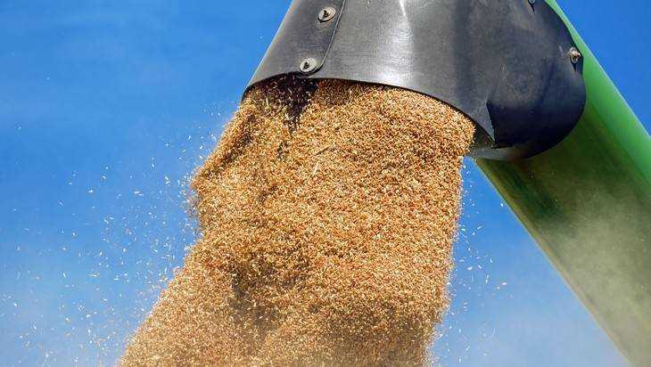 В Брянской области намолотили 600 тысяч тонн зерна