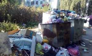 В Брянске улица Горбатова по вине коммунальщиков выросли горы мусора