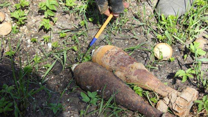 Возле брянской деревни обнаружили пять снарядов