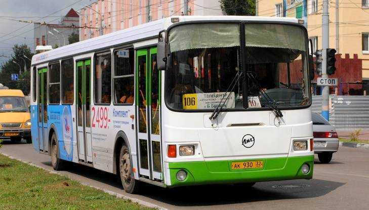 В брянском автобусе разбилась 12-летняя школьница