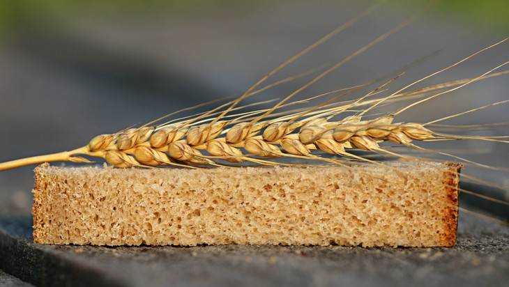 Брянское хозяйство наказали за зерно с загадкой