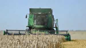 Брянским крестьянам открыли пшеничный путь за рубеж