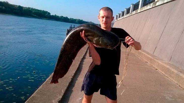 В Соже рыбак поймал сома длиной 126 сантиметров