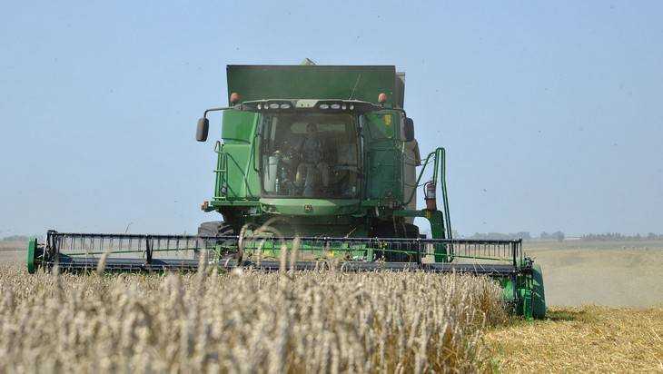 Брянские крестьяне намолотили более 833 тысяч тонн зерна