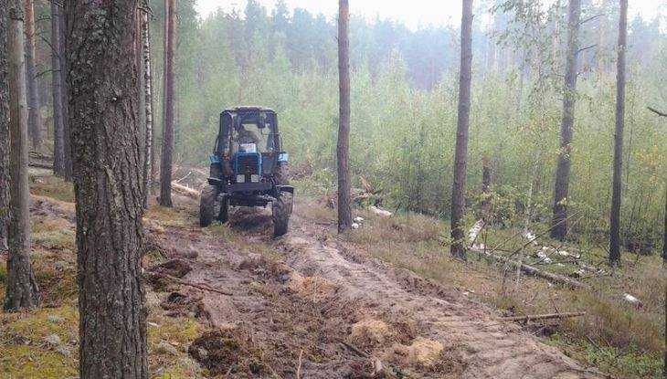 Тракторист обнаружил снаряд в брянском лесу