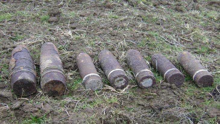 В двух брянских районах нашли снаряды