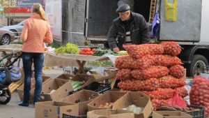 В Брянске открыли более десятка овощных ярмарок
