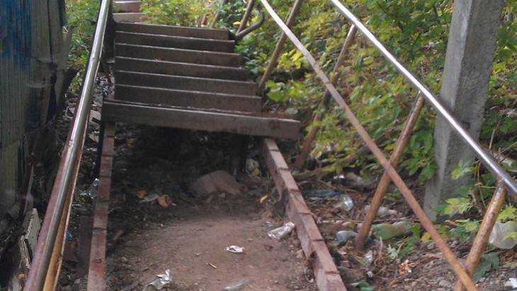 Снимки опасной лестницы-костоломки потрясли брянцев