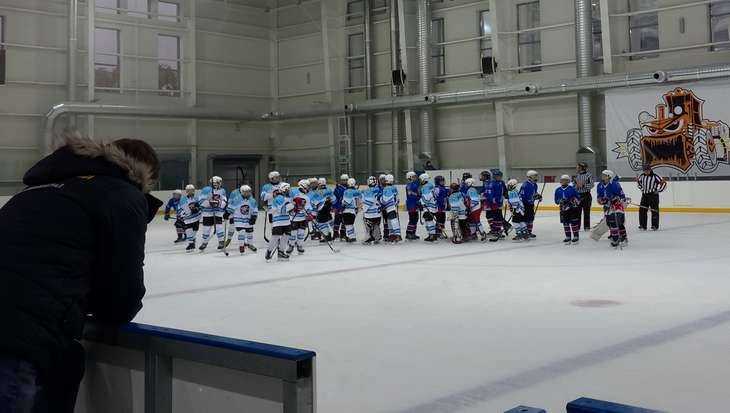 Брянские хоккеисты победили «Янтарную звезду»