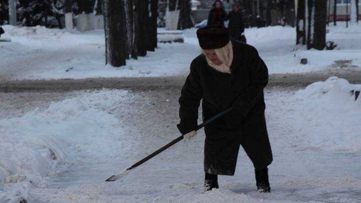 Убирать снег властям Брянска помогут заклинания