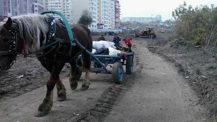Строители дороги на улице Романа Брянского уперлись в цыганский табор