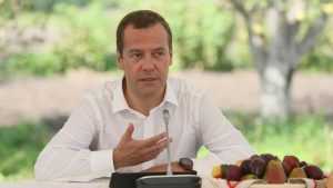 Дмитрий Медведев поблагодарил Юрия Гапеенко за избирательную кампанию