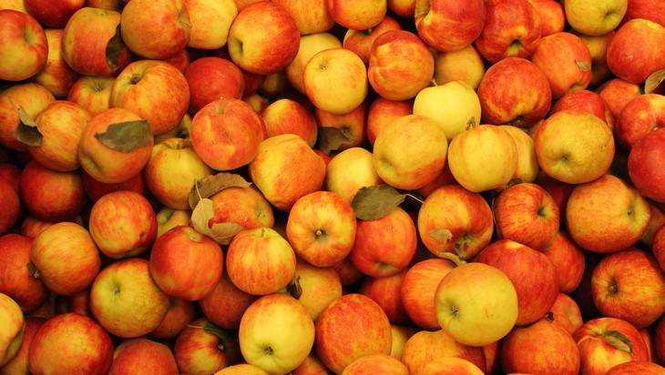 В Брянской области уничтожили 19 тонн польских яблок