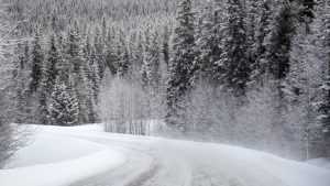 Брянские дороги проверили на готовность к зиме