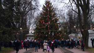 Власти Брянска объявили поиск главной новогодней ёлки города