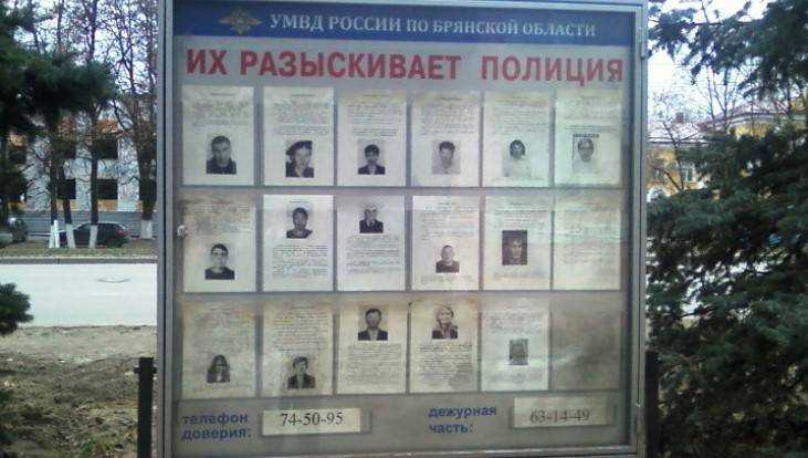 Брянская полиция поймала 39 беглых преступников и узбека-алиментщика