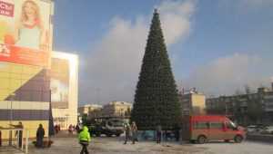 В Бежицком районе Брянска установили первую новогоднюю ёлку