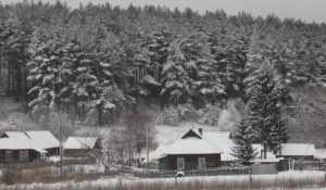 Январская температура в Брянской области опустится до 8 градусов мороза