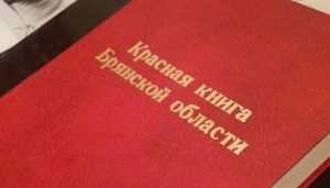 На Брянщине подготовили новое издание Красной книги области